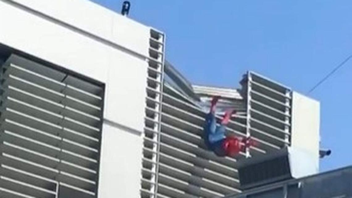 An animatronic Spider-Man stunt robot that swings over Disneyland visitors at Avengers Campus crashed into the side of a building, park officials say.
