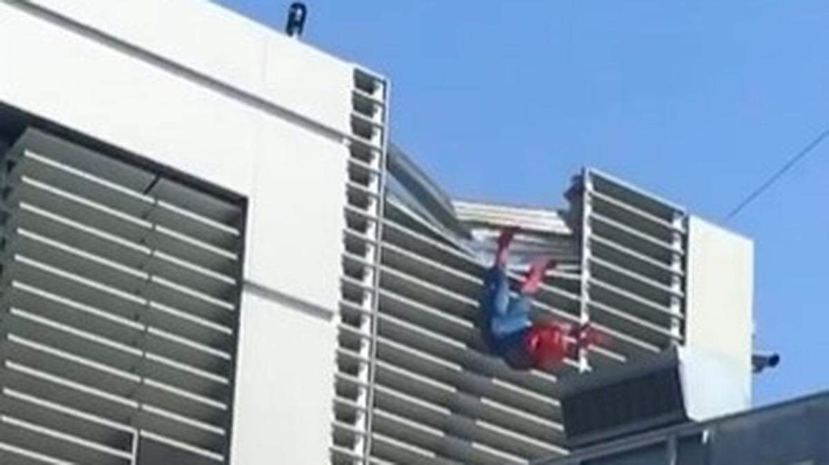 An animatronic Spider-Man stunt robot that swings over Disneyland visitors at Avengers Campus crashed into the side of a building, park officials say.