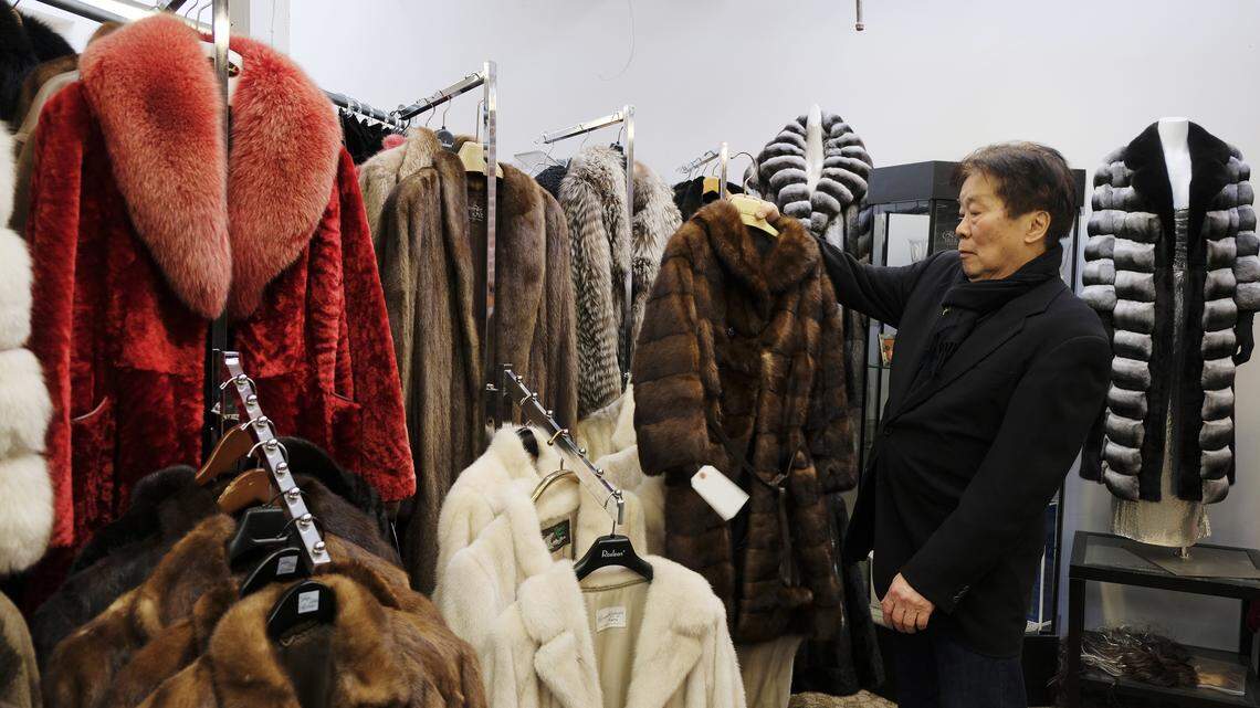 In this photo taken Friday, March 16, 2018, Benjamin Lin holds up a fur coat at the B.B. Hawk showroom in San Francisco. Fur trapping would be banned in California if the Legislature passes Assembly Bill 273 by Lorena Gonzalez Fletcher. It would block the Department of Fish and Wildlife from issuing licenses.