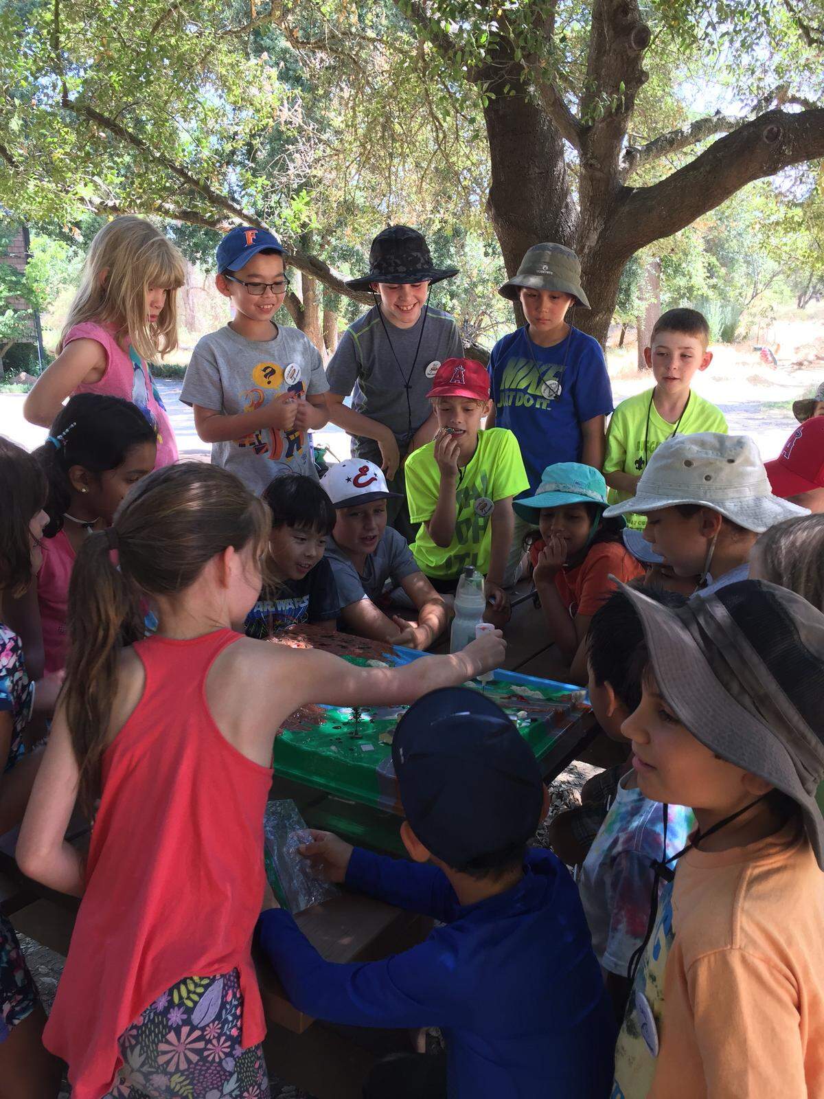 Children gather to observe and learn at the Effie Yeaw Nature Center day camp on July 18, 2017. 