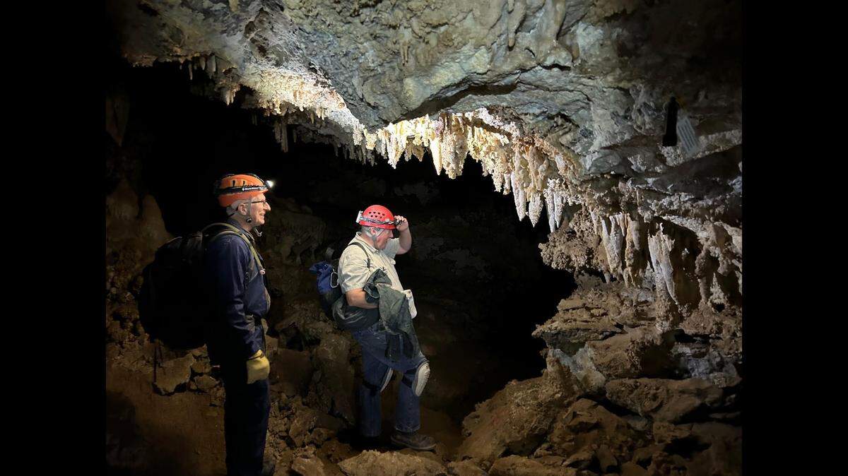 A team recovered the “nearly complete skeleton” of a predator that lived in the Ice Ages from a cave in Utah, officials said.