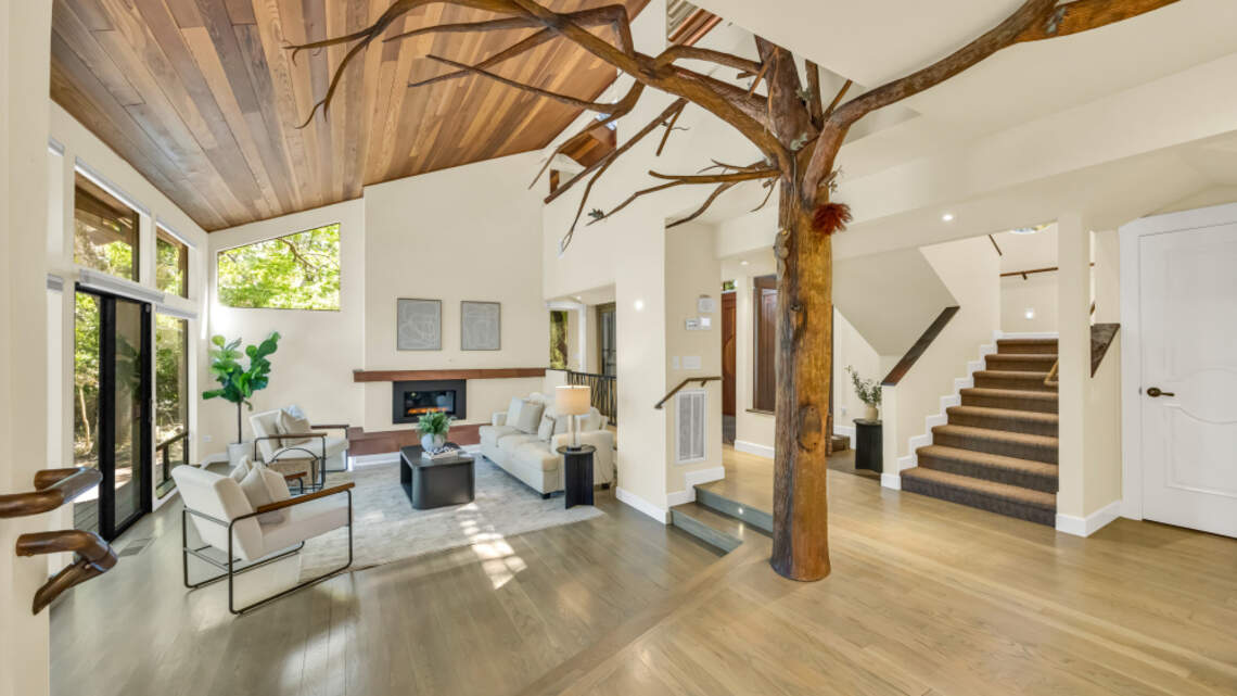 See Sacramento home grabbing attention with its cool nature vibe, art elements
