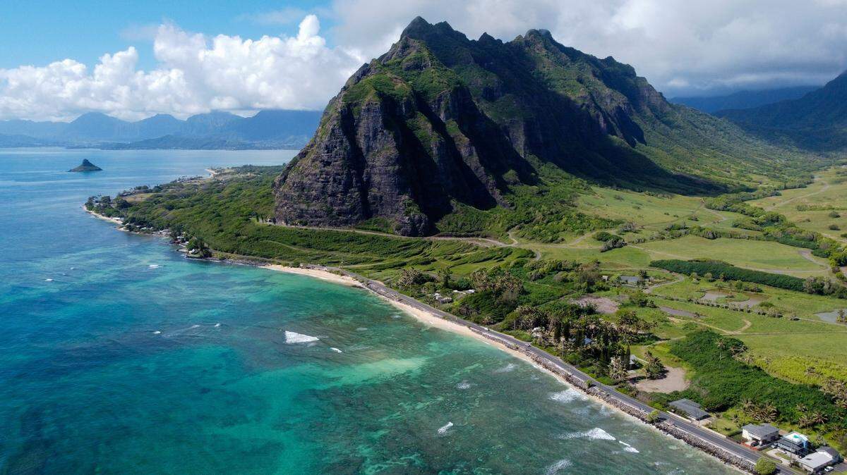 Researchers in Hawaii discovered a 30-foot whale shark, a video shows.
