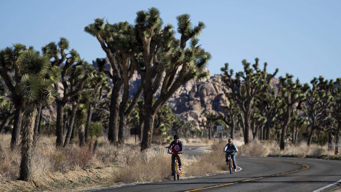 A rock climber died after falling 80 feet in Joshua Tree National Park on March 26, 2022.