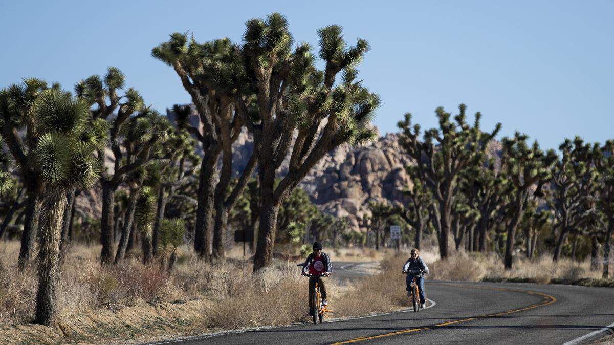 A rock climber died after falling 80 feet in Joshua Tree National Park on March 26, 2022.