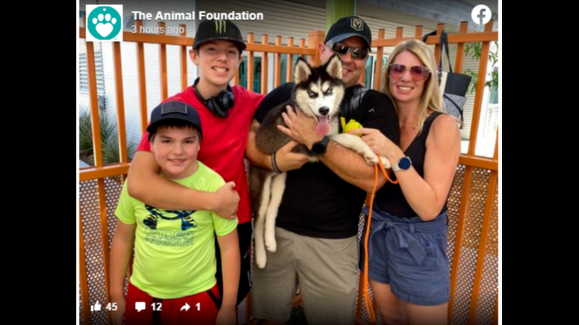 A puppy that was found locked in a car with its mouth shut at a Las Vegas casino parking lot last month has found a new home. (Screen grab from Facebook)