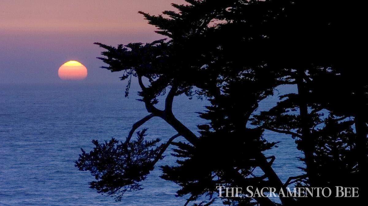 The sun sets over the ocean and the cypress trees at Esalen Institute in Big Sur, Wednesday, May 24, 2006.