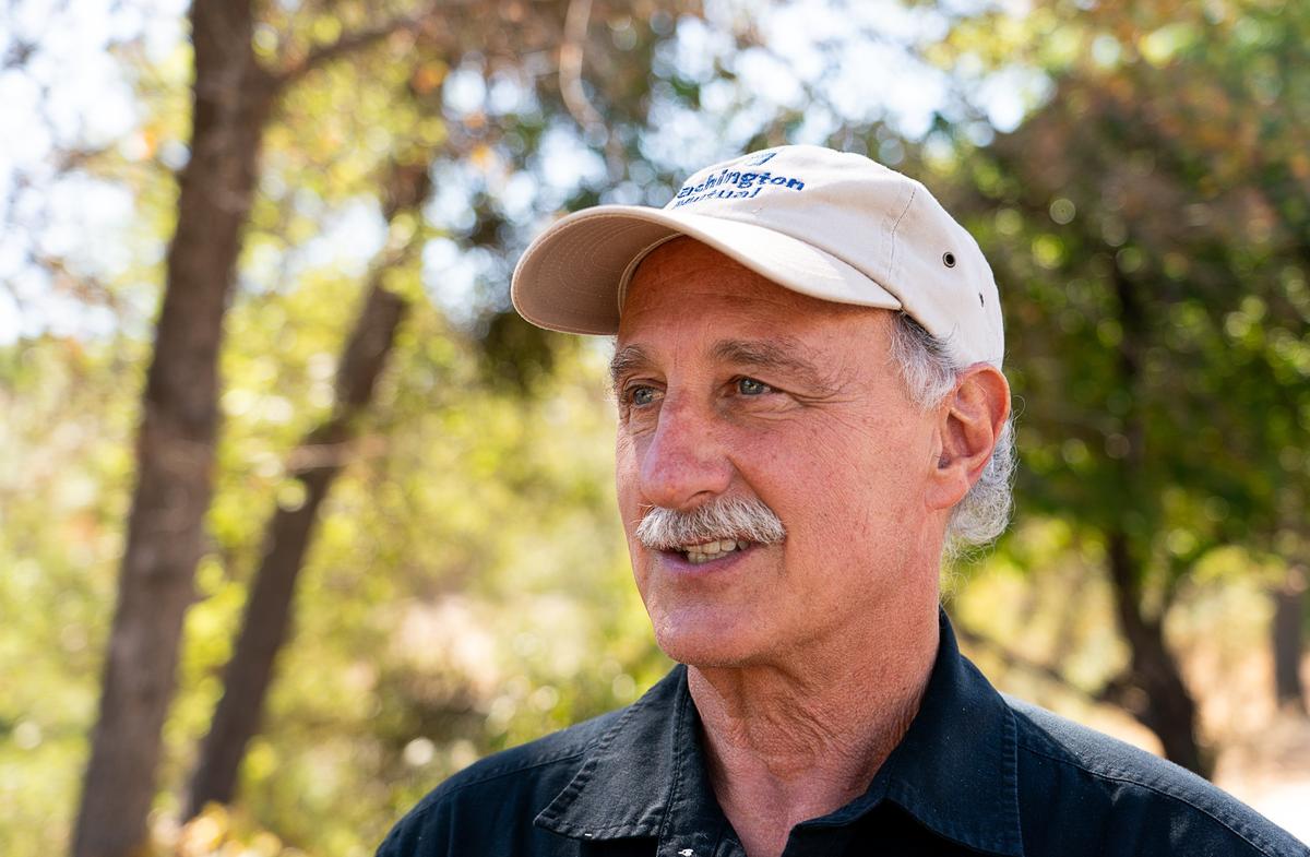 Steve Wilensky, photographed in 2018, runs a nonprofit group building a biomass plant in an old lumber mill in Calaveras County. The project drew a CEQA challenge from a labor-backed group last fall.