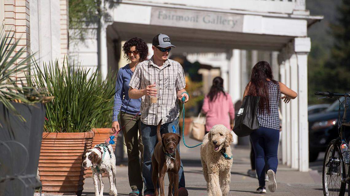 How hot is too hot to walk your dog in California? What to know as high temps hit