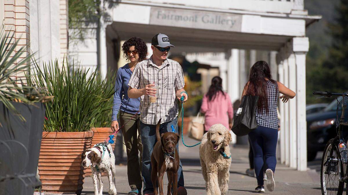 Suzanne and Daniel Hansen of Sonoma, walk their dogs Lady, Merle and Chobe in the deserted town square on Sunday October 15, 2017 in Sonoma, Calif.