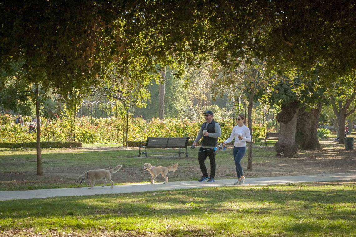 A couple takes a walk on a early weekend morning near the Rose Garden at McKinley Park in 2018. 
