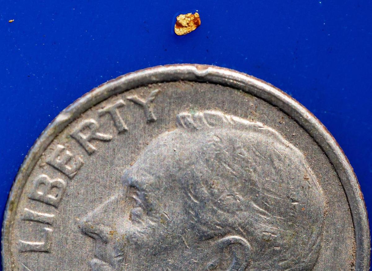 A small piece of gold found Saturday by River City Prospectors member Deb Horner rests next to a dime in a blue gold pan.