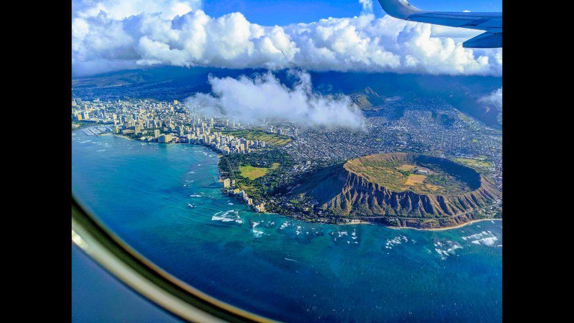 A slithery stowaway was found hanging out on the deck of a cargo ship headed to Hawaii, officials said. 