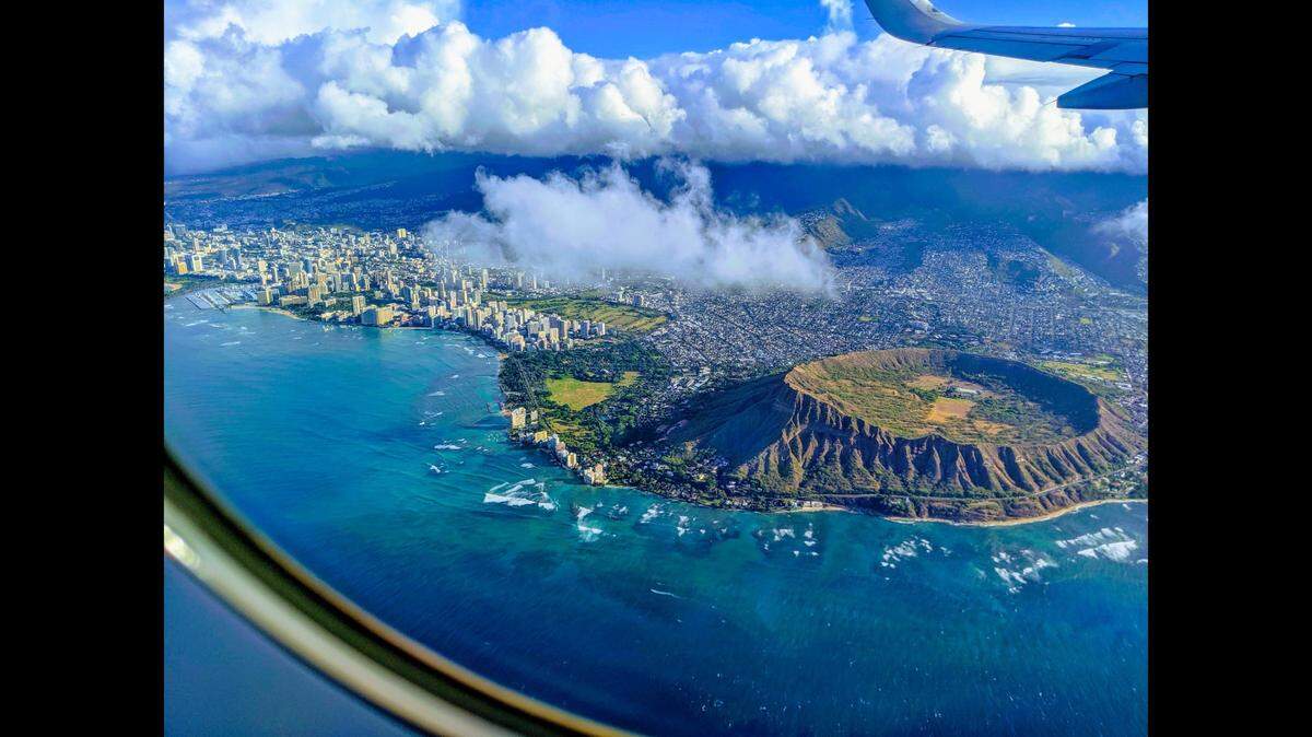 A slithery stowaway was found hanging out on the deck of a cargo ship headed to Hawaii, officials said. 