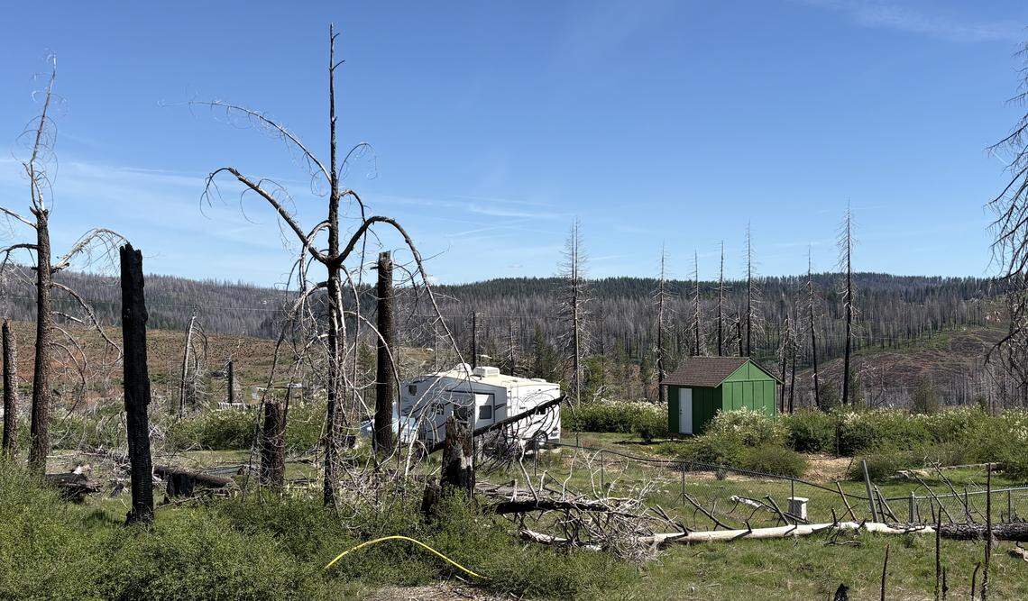 A small trailer sits on a cleared lot surrounded by fire-scarred trees in Grizzly Flats on Wednesday, April 29, 2026. Residents welcomed a new partnership between HomeAid Sacramento and El Dorado County to build 12 energy efficient homes in the community, nearly five years after the Caldor Fire destroyed the neighborhood.