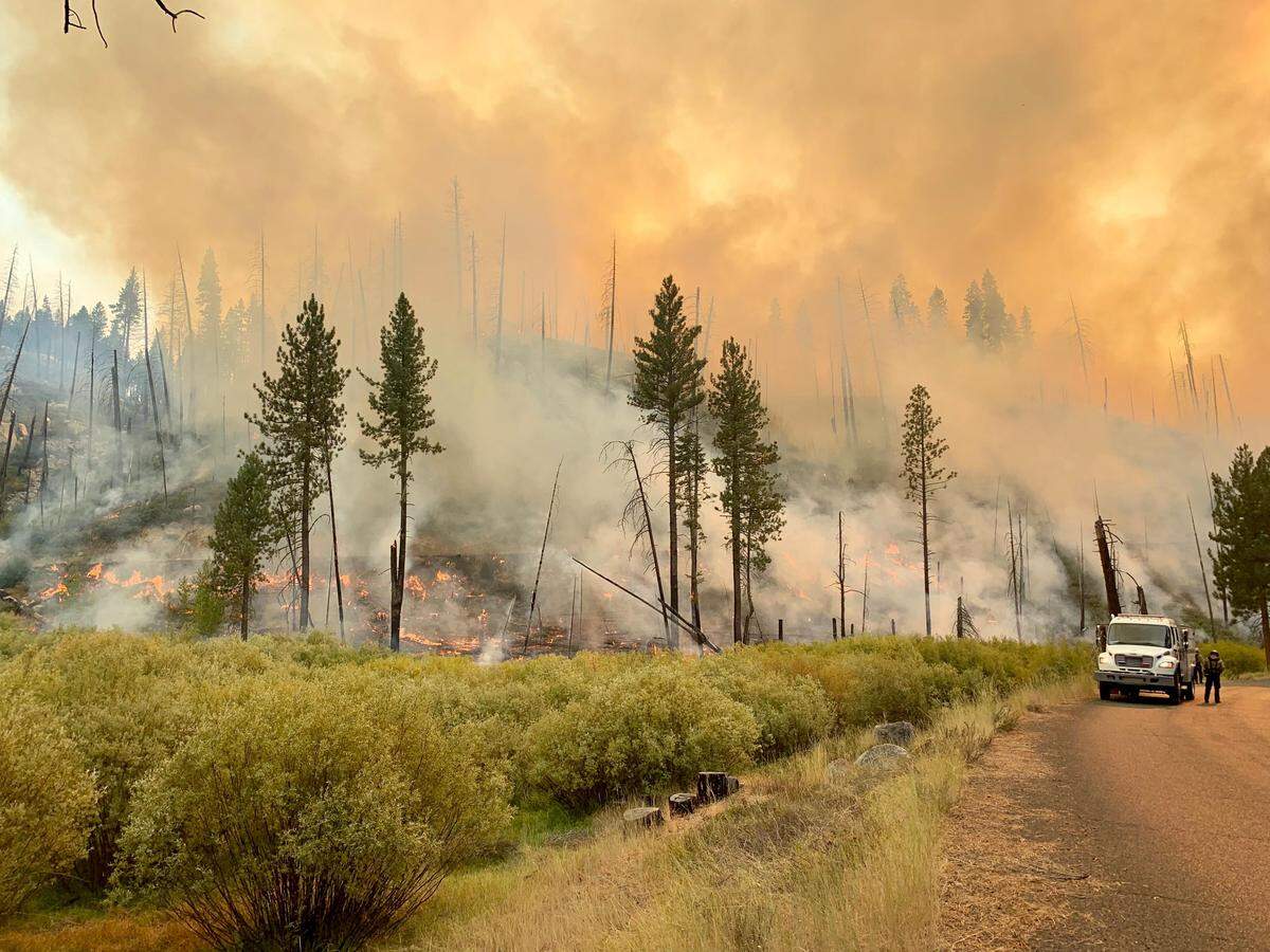 U.S. Forest Service crews work to hold containment lines on the Walker Fire on Thursday, Sept. 12, 2019.
