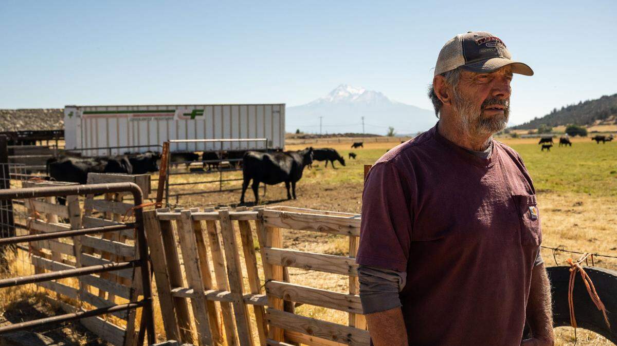 They defied California and drained an important salmon stream. Their fine: $50 per farmer