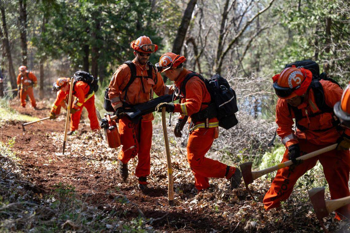 Cal Fire Inmate Crew 5 demonstrates its fire-fighting skills in April by cutting a fire break at the Growlersburg Conservation Camp in Georgetown. The state has relied on inmates to staff its more than 200 hand crews.