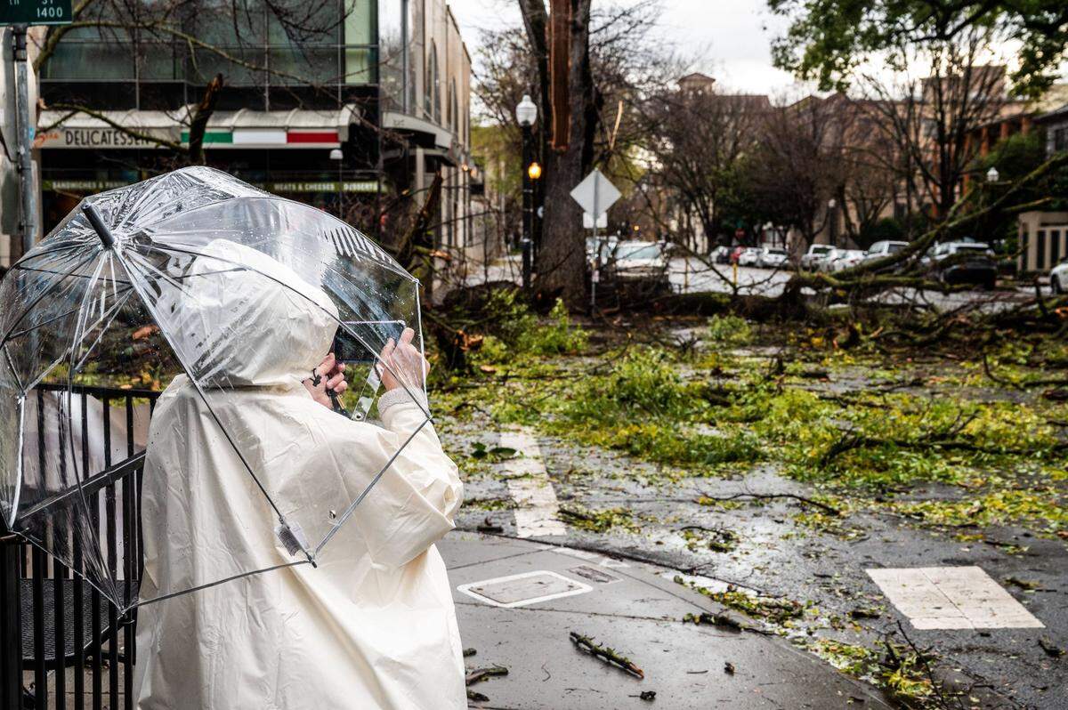 A woman holding an umbrella takes a picture of a fallen tree at the intersection of 14th and O streets in downtown Sacramento on Wednesday, Jan. 27, 2021. The tree knocked down a lamppost next to Zia’s Delicatessen.