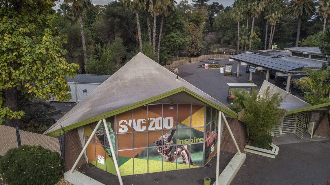 Sacramento region deserves a modern zoo with a greater ability to educate future generations