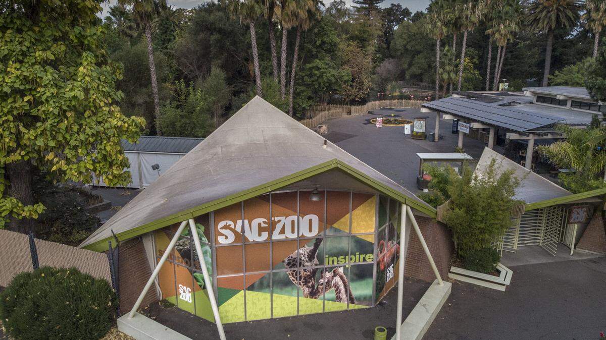 Sacramento region deserves a modern zoo with a greater ability to educate future generations