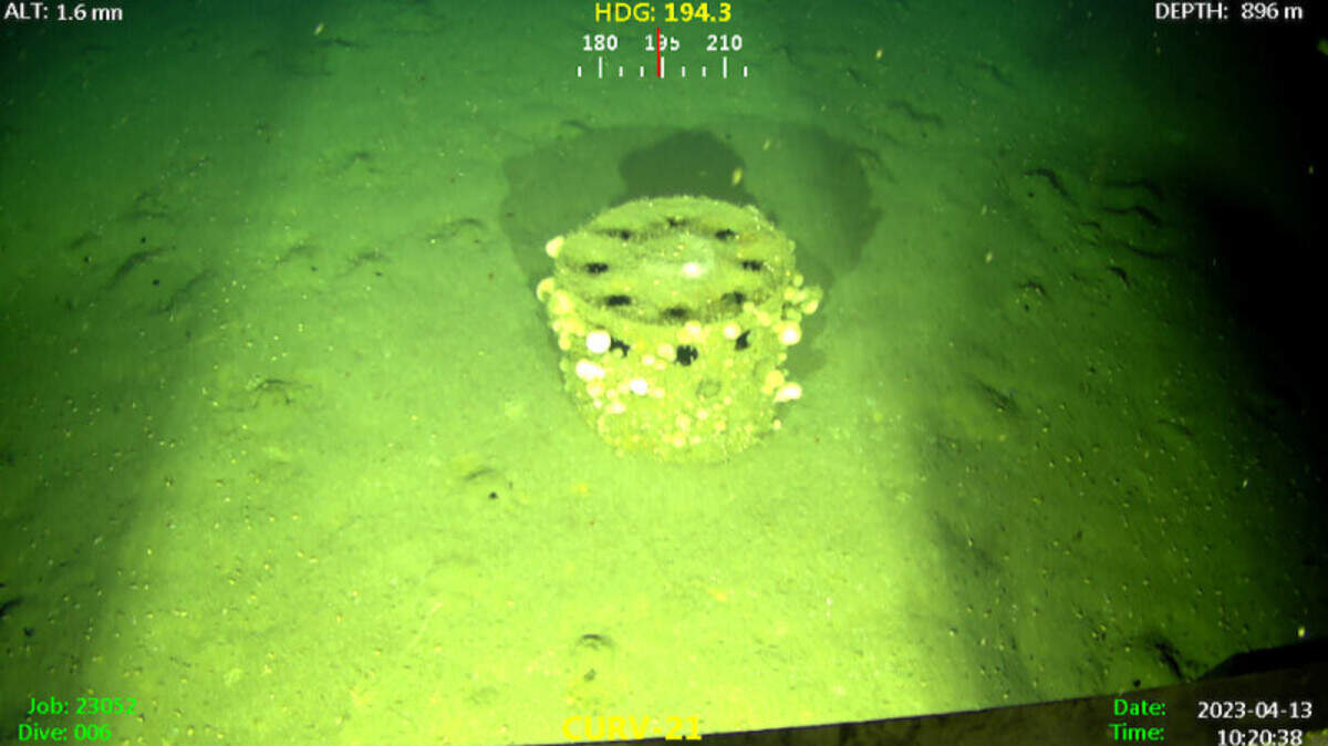 A survey using undersea robots found a munitions dump on the seafloor off Los Angeles, experts say.