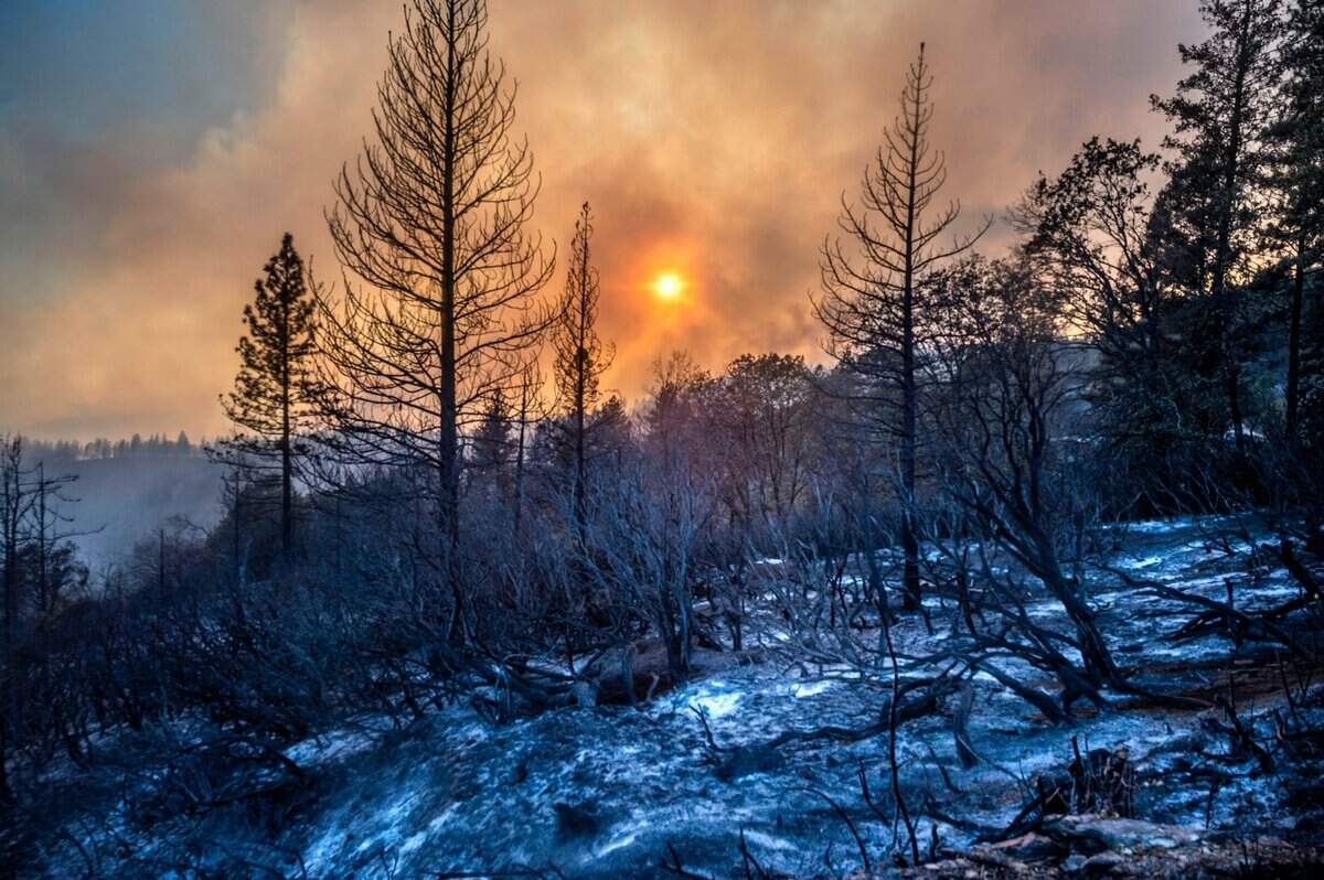 A hillside near Forestville smolders Tuesday, Sept. 13, 2022, after the Mosquito Fire burned through.