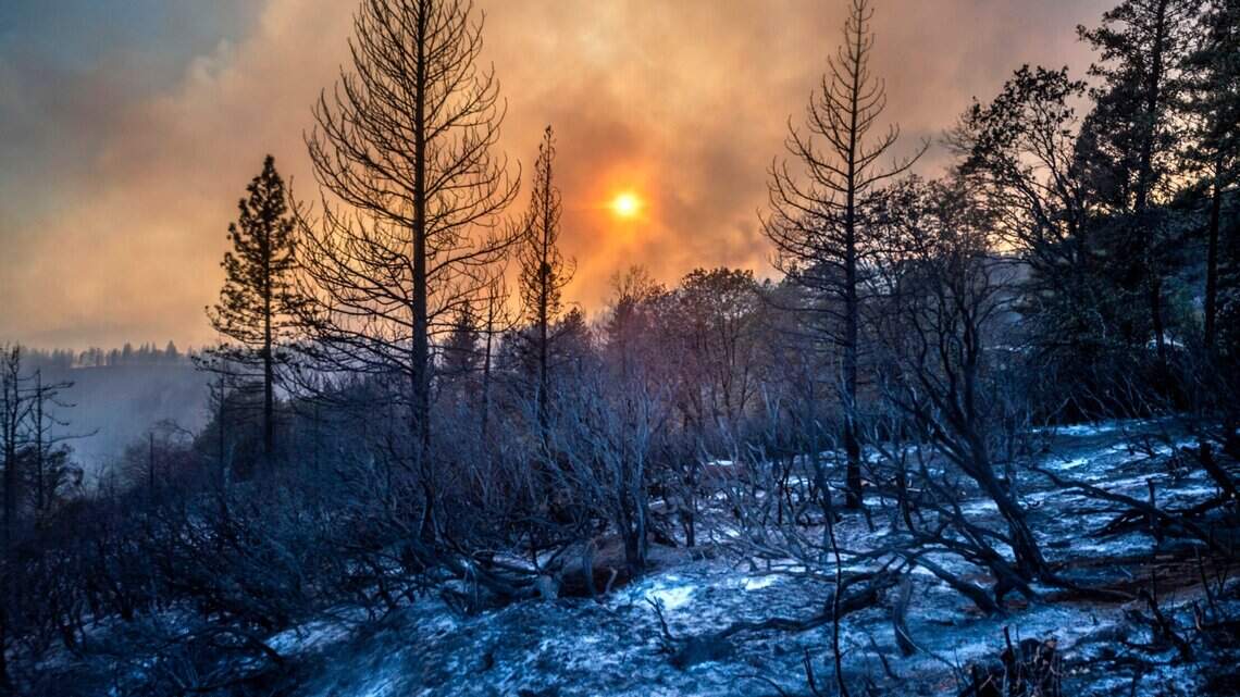 Did this week’s big storm help with California drought? What about wildfire season?
