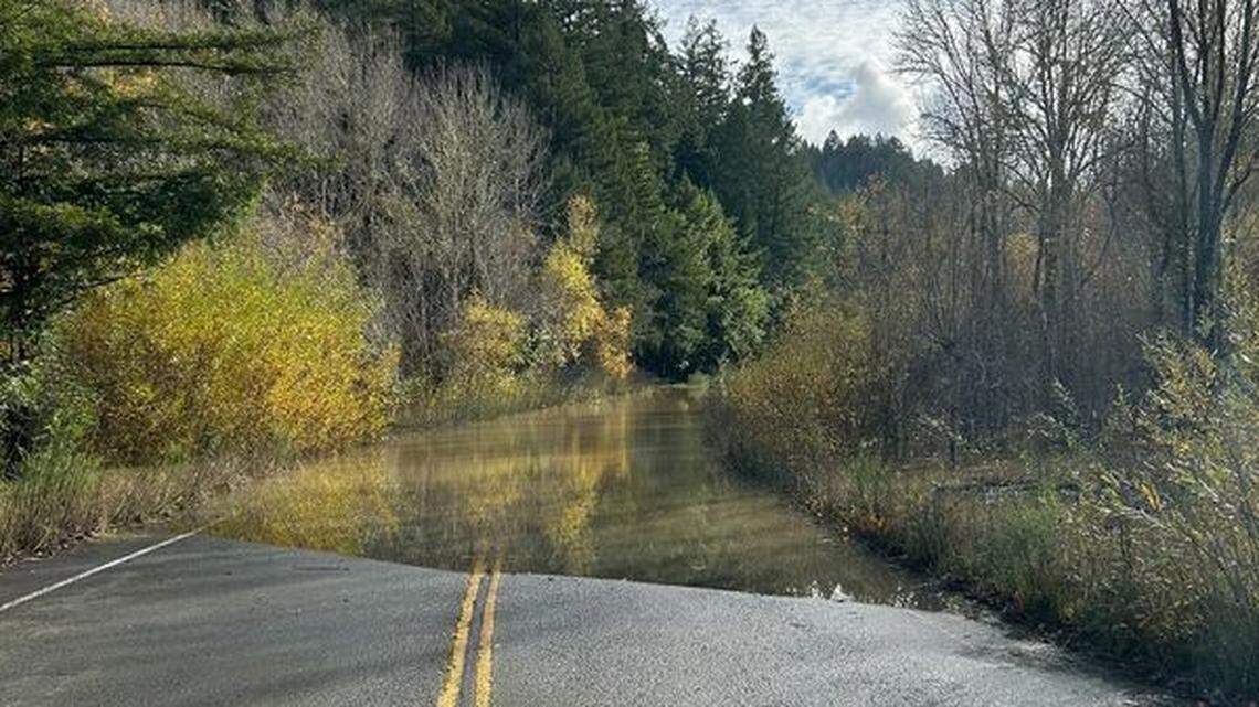 A driver died after his car sank in floodwaters on a road near Guerneville, sheriff’s officials say.