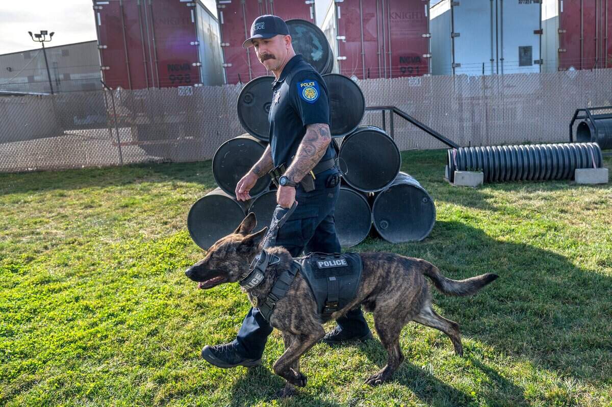 Sacramento Police officer Arian Terman shows off his K9 partner Ranger with his protective ballistic vest at a press conference Wednesday, March 2, 2022. The vest was donated by Brady’s K9 Fund, an Ohio-based group that raises money to outfit working dogs with protective vests.