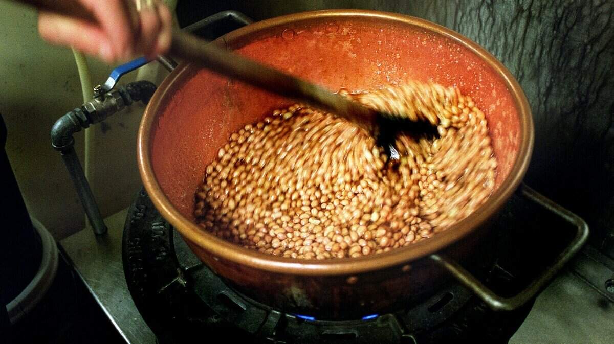 A Snooks Candies & Chocolate Factory worker stirs raw peanuts into copper candy pot with a wooden spoon to make a batch of peanut brittle.