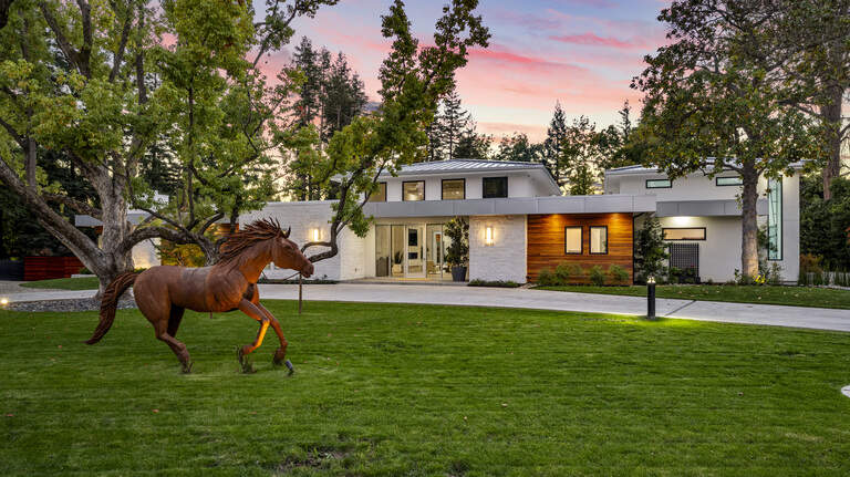 Inside a boldly modern Sacramento home built around an oak, with nod to the past