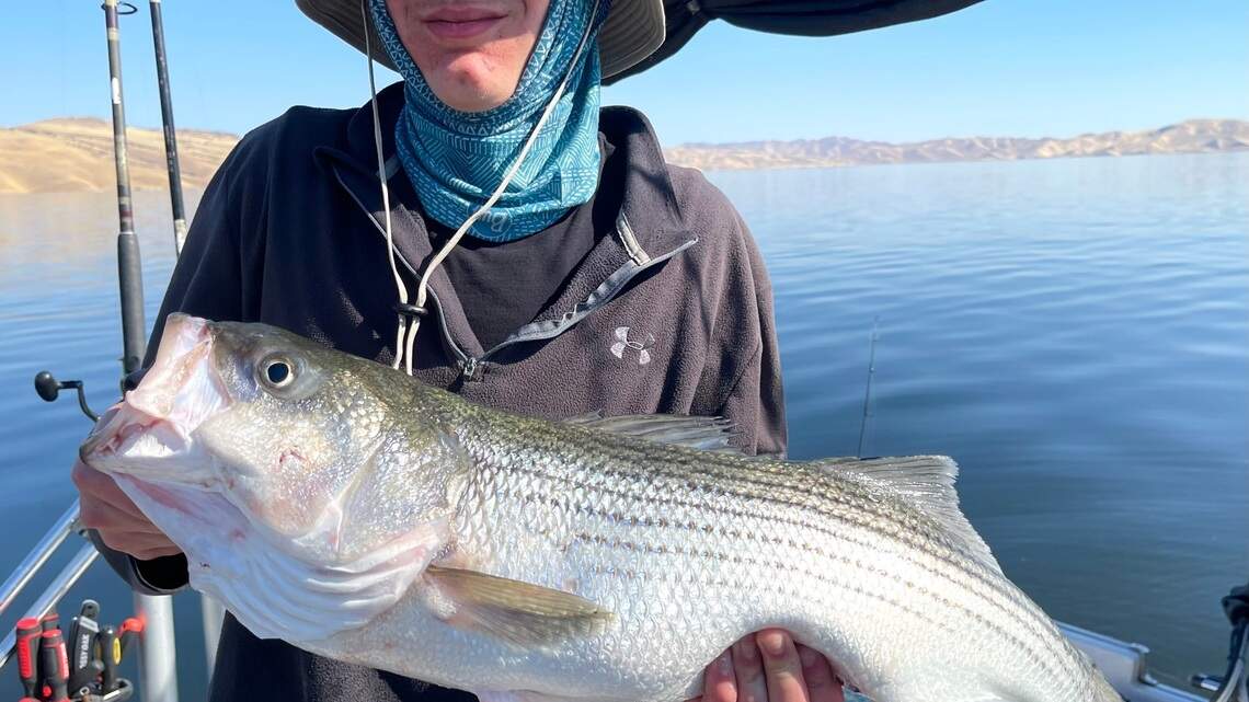 Fishing report, July 5-July 11: Don’t sleep on Don Pedro Reservoir, big kokanee are waiting