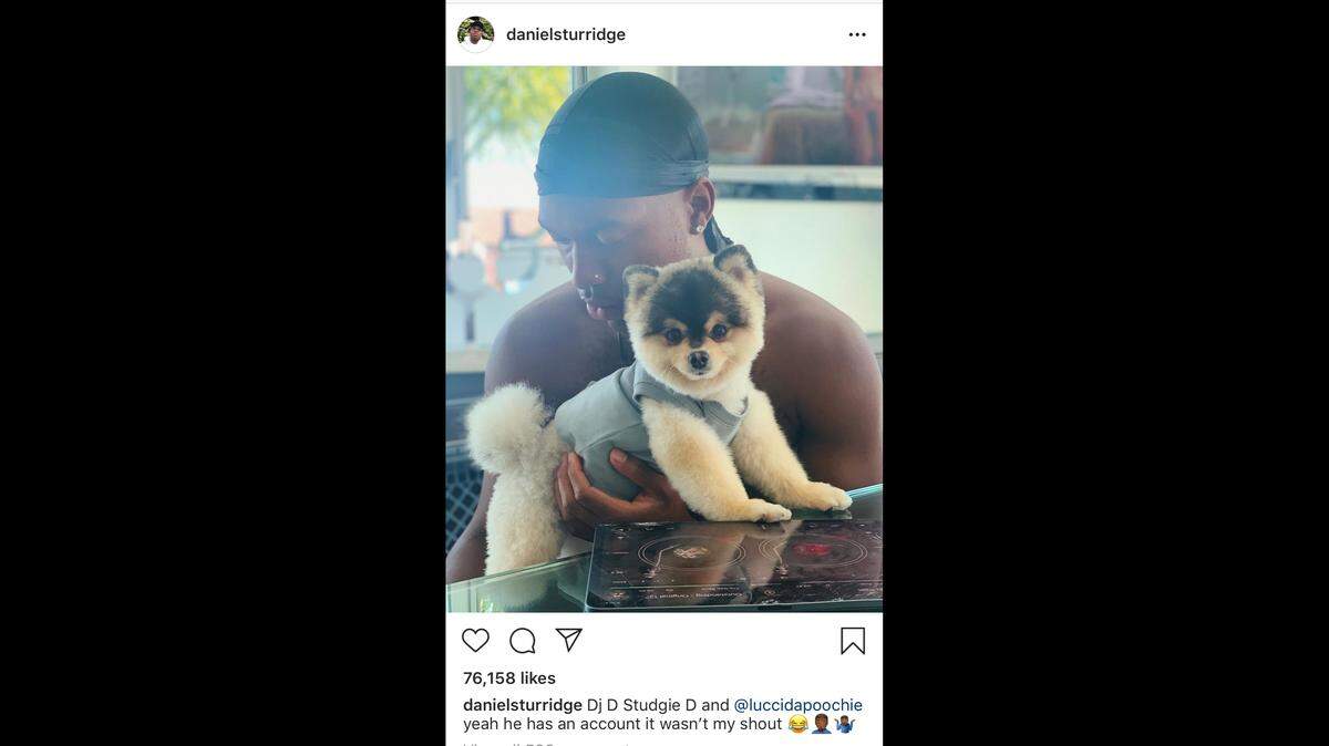 Soccer star Daniel Sturridge and his Pomeranian, Lucci.