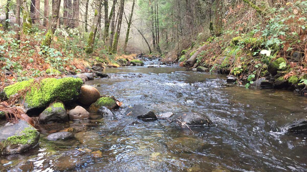 The Cardosa family is turning this land in Camino into a retreat for foster children.