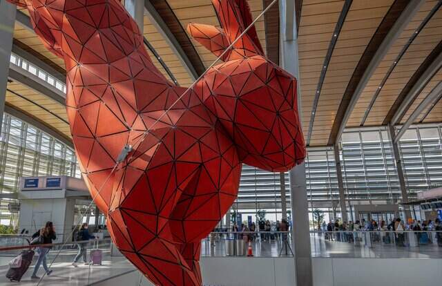 Sacramento CA airport rabbit sculpture history, size, location ...
