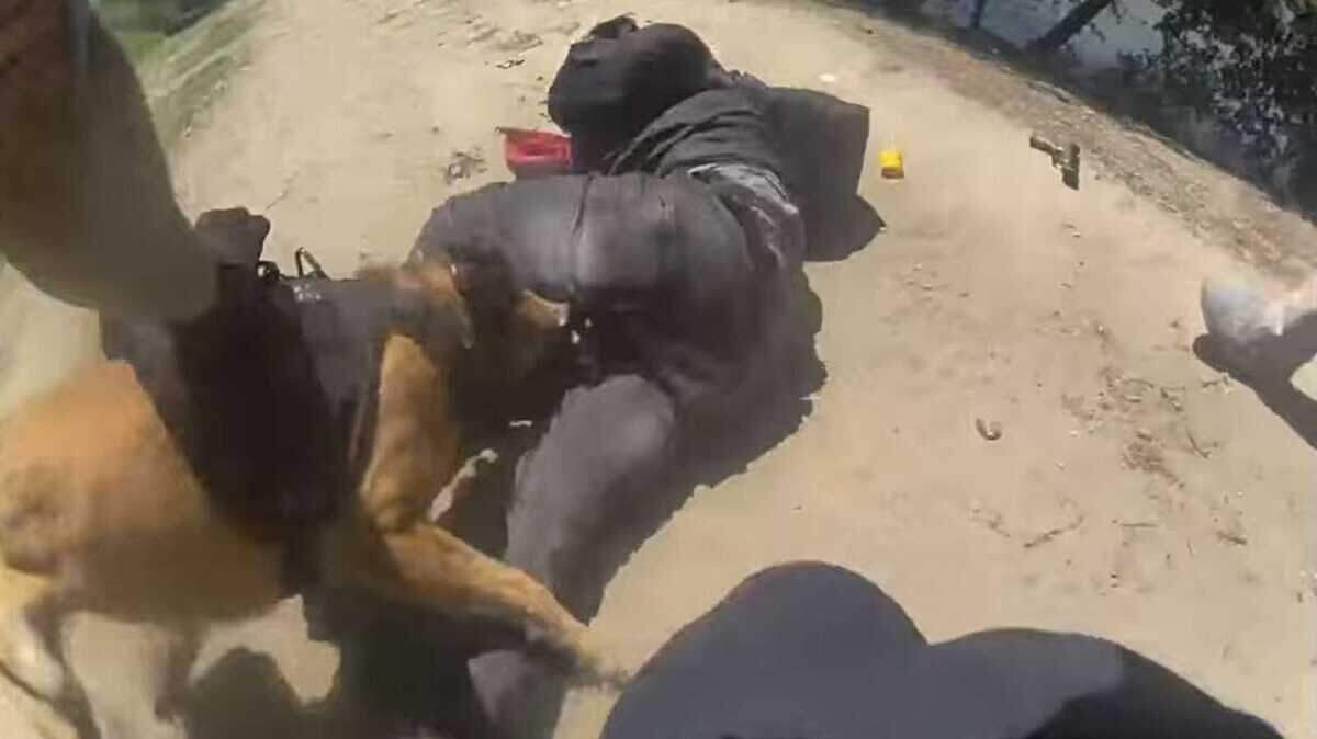 An image taken from police bodyworn camera video on May 2, 2025, shows a Sacramento officer pulling back a K-9 after the dog apprehended Johnny Balcorta, moments after officers shot the suspect near the Robert T. Matsui Waterfront Park.