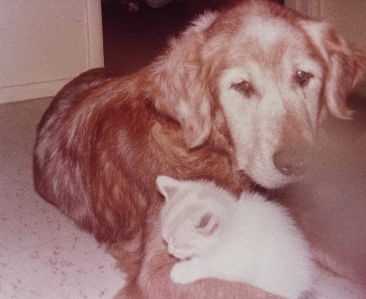 Russet and Phillip.