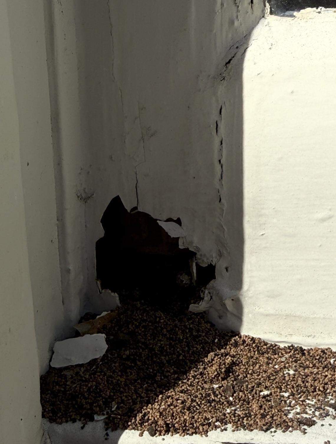 Frass left by drywood termites.