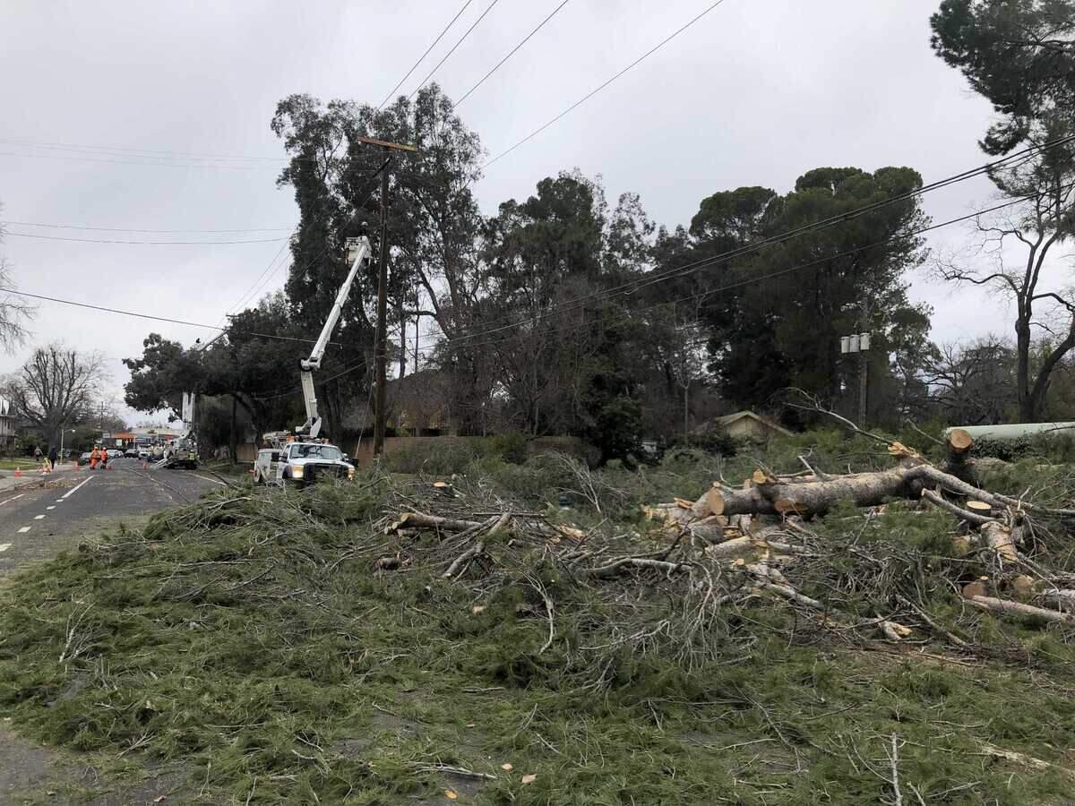 SMUD workers repair power lines damaged by a tree that fell during a storm on Dec. 31, 2022 on Sutterville Road in Land Park on Jan. 2. The damaged power lines caused residents and business to lose power, including the 76 gas station on the corner of Sutterville Road and Del Rio Road, which was closed due to lack of power as of 12 p.m. on Jan. 2. SMUD said that over 90 trees have been cleared since the storm.