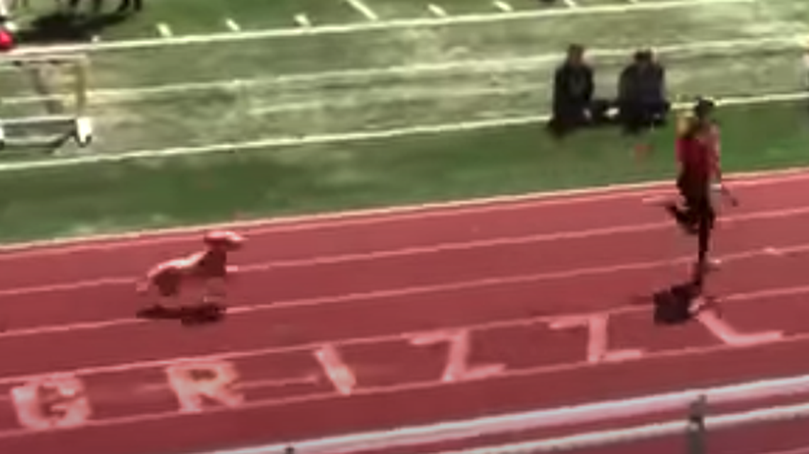 A dog got loose from her owner during a Utah track and field race and caught up to sprinters to “win” a race.