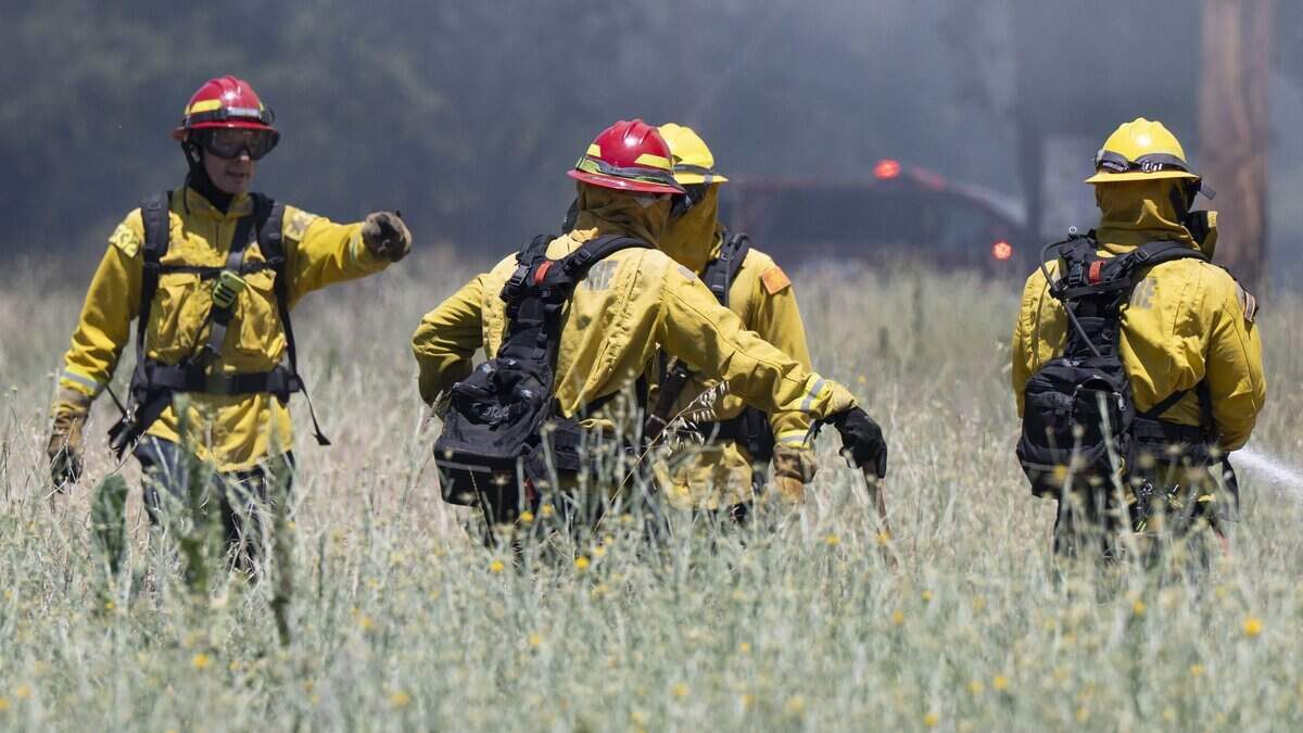 Firefighters tend to a prescribed burn near Dry Creek in Rio Linda on Tuesday, June 16, 2026. The state employees’ pension fund projects that legislation to enhance retirement benefits and lower the retirement age for firefighters and police officers will likely increase costs for local governments. Some CalPERS-related bills have already been killed or amended this session.