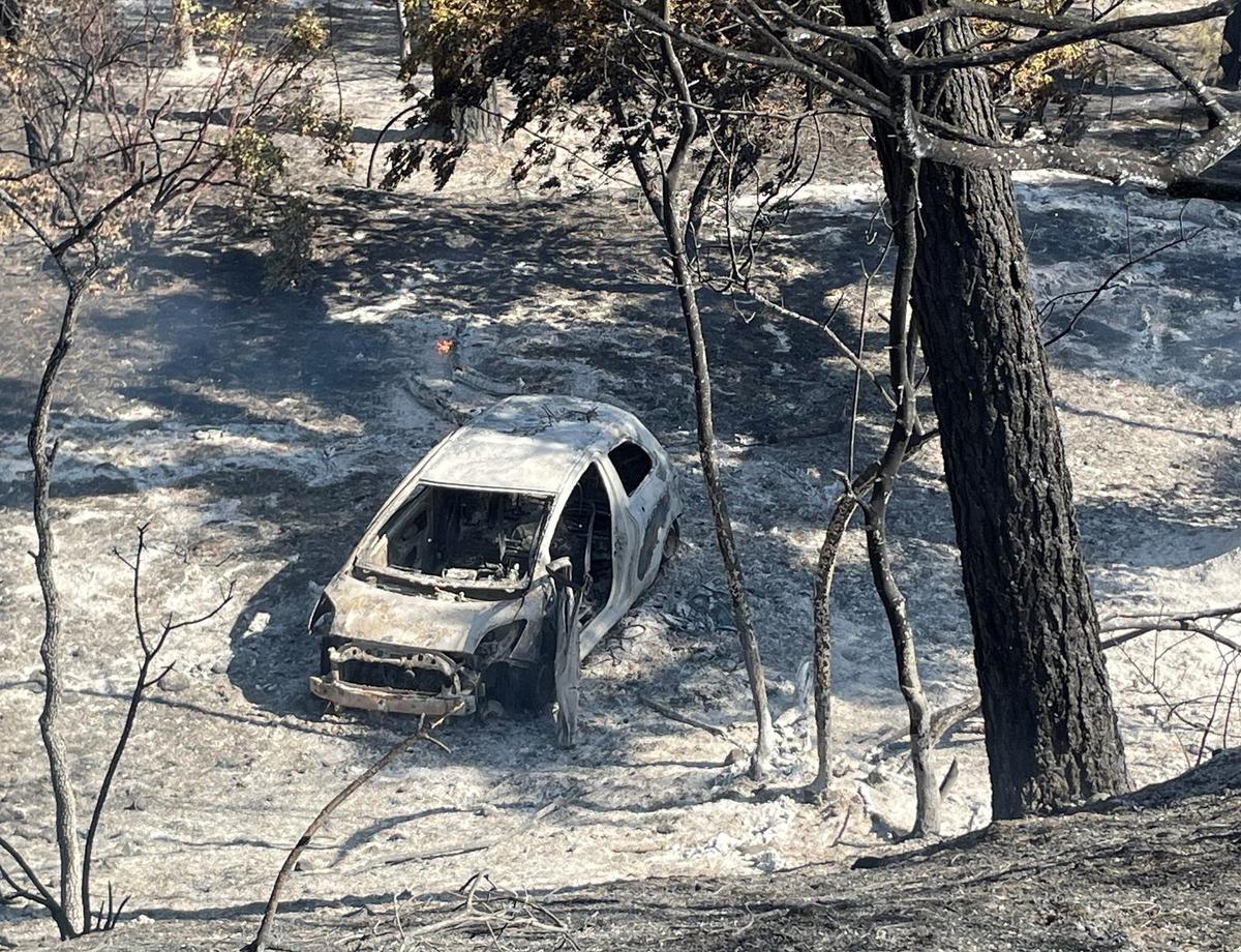 Arson investigators arrested a man accused of starting the Park Fire near Chico by pushing a flaming vehicle into a gully