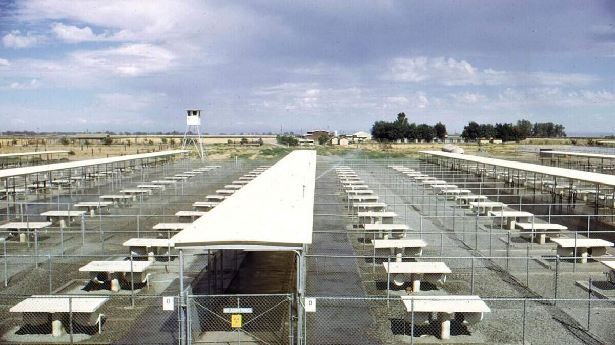 The LEHR site in Davis, seen in 1976, once performed radiation research on animals.