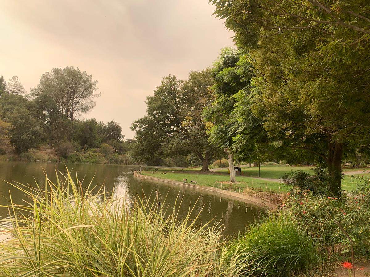The UC Davis Arboretum, normally crowded with pedestrians and picnickers, was completely empty on Wednesday morning as ash fell from smoky, orange skies.