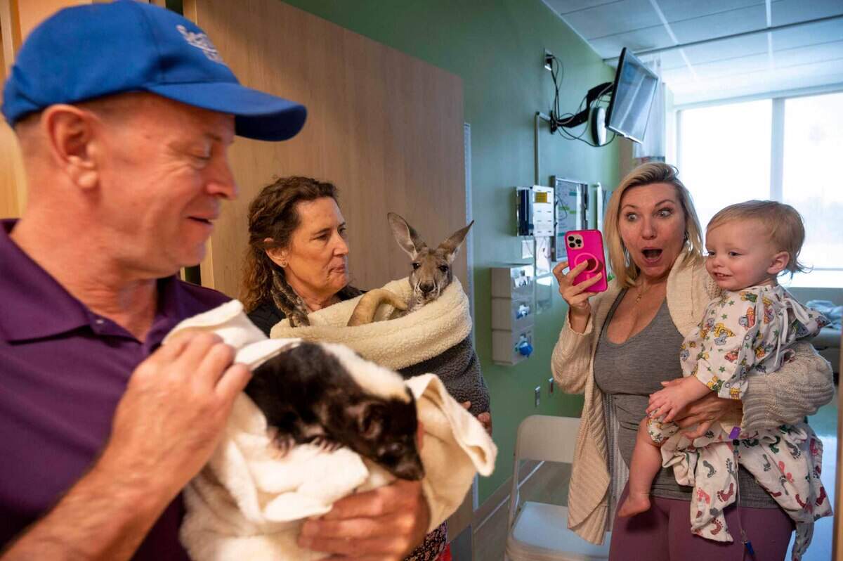 Animal rescue handlers from SeaWorld San Diego hold a skunk and a kangaroo up for Aryn Moore and her 17-month old daughter Charlee to see at Sutter Children’s Center on Wednesday, May 24, 2023.