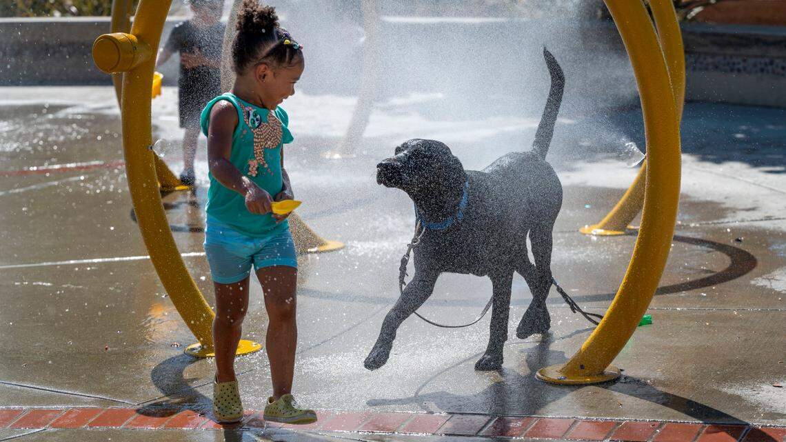 Parker Beverly, de dos años, se refresca con su perro River en la niebla del North Natomas Regional Park, el martes 6 de septiembre de 2022.