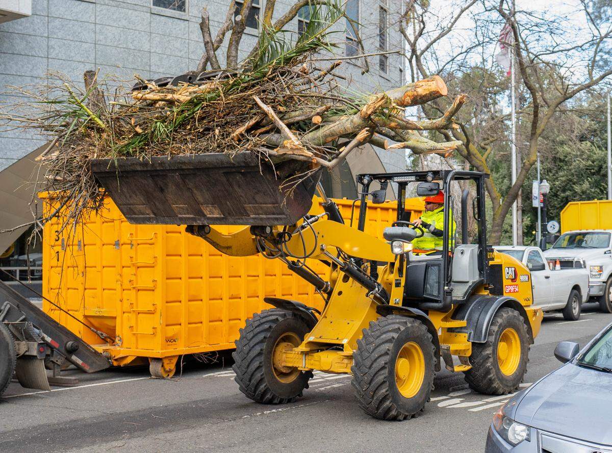 Workers remove a parts of a large tree branch covering 15th Street and multiple cars between N and O streets in Sacramento on Sunday, Feb. 4, 2024, after high winds caused tree damage across the region.