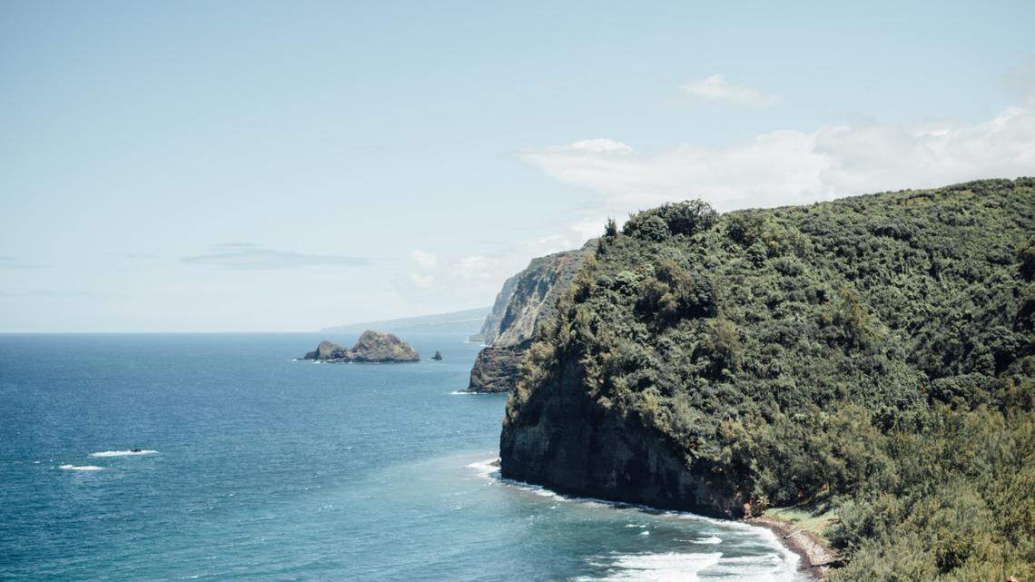 A sea creature came close to a boat of researchers in Hawaii, a video shows.