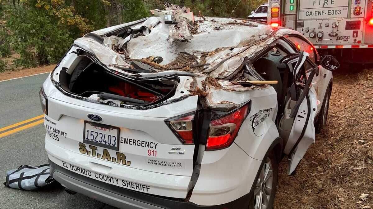 Three El Dorado County Sheriff’s Office senior volunteers were injured Wednesday afternoon, when the roof of their patrol vehicle was crushed by a falling tree near Grizzly Flat and Sweeney roads.